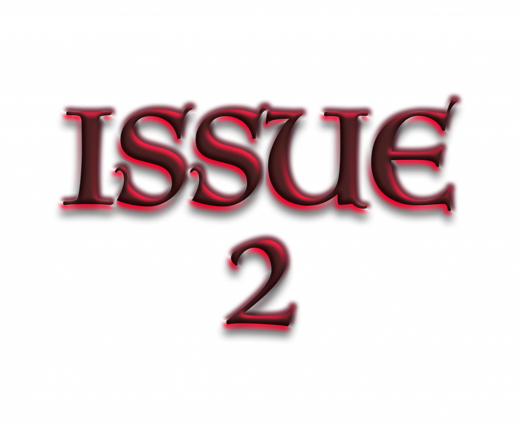 Issue 2